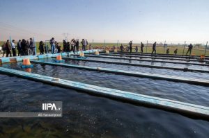 Bonyadtaavon-news12113650085