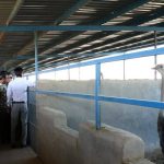 IMG_20241010_111625_793