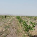 IMG_20241123_101451_931