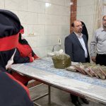 DJI_20250921114325_02سشسش93_D copy