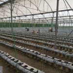 IMG_20250909_082751_425