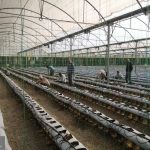 IMG_20250909_082755_570