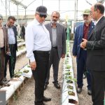 IMG_20250921_183656_671