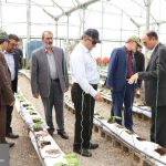 IMG_20250921_183703_234