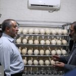 IMG_20250921_183734_671