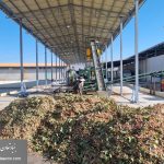 WhatsApp Image 2025-09-13 at 8.21.09 AM (1)