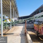 WhatsApp Image 2025-09-13 at 8.22.16 AM