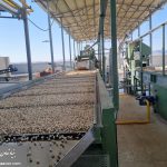 WhatsApp Image 2025-09-13 at 8.22.18 AM