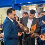 photo_2025-09-09_07-45-45