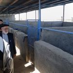 IMG_20251019_194053_527