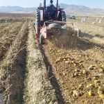 photo21980646310 (2)