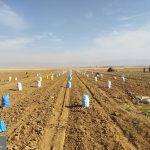 photo21980648802 (1)