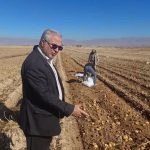 photo22107496051 (4)