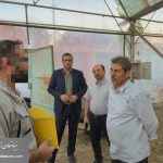 ۲۰۲۵۱۰۲۹_۱۷۱۰۴۶_censored