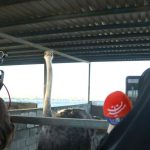 IMG_20251224_075724_978