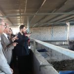 IMG_20251224_075731_478