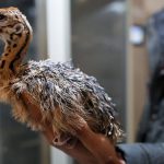 IMG_20251224_075734_181