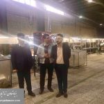 photo_2025-12-15_01-07-21 (1)