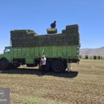 IMG_20260510_190312_596 (1)
