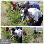 IMG_20260628_102052