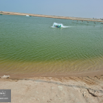 watermarked-rayawp - 2026-08-09T104534.282