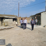 watermarked-rayawp - 2026-09-12T095403.892